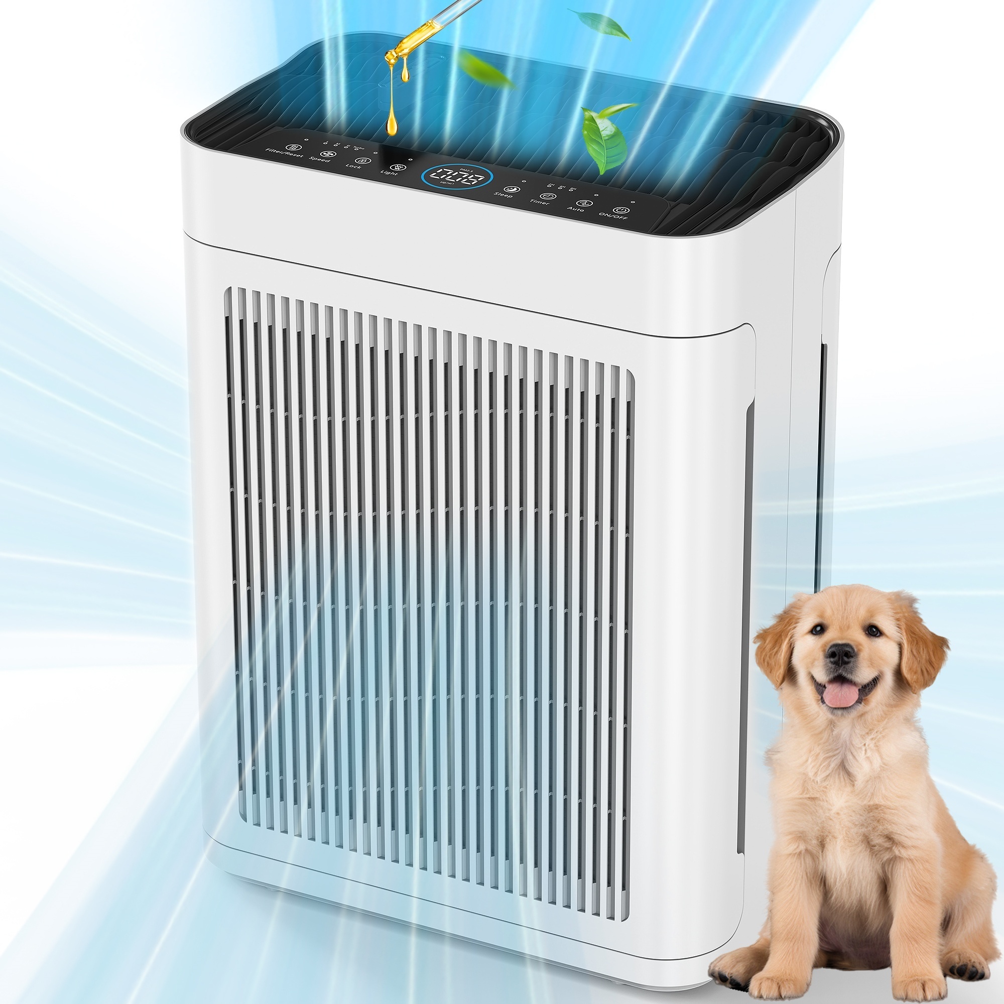 EdenDirect Air Purifier — Covers Up to 3000 Sq. Ft., H13 HEPA, Washable Filters, Dual-Sided Air Intake, PM2.5 Sensor, 22dB Quiet, Model# NTEAP01W